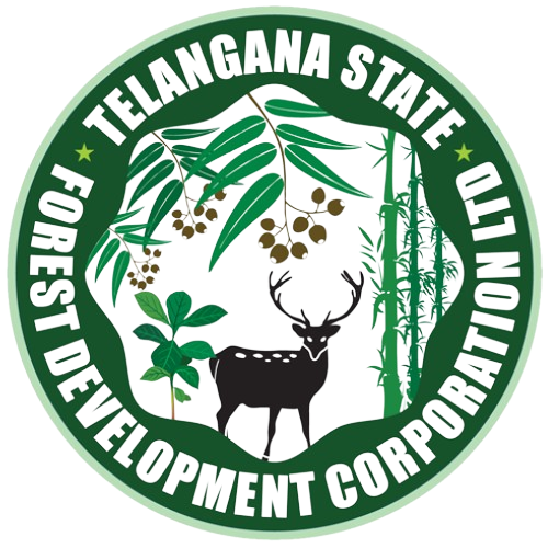 Our Team Working Together